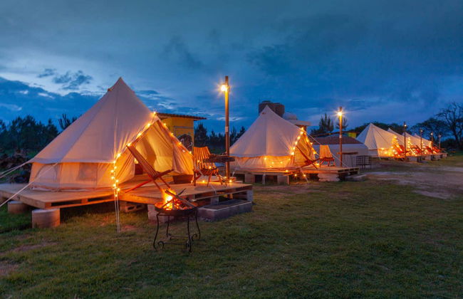 Night at the Firefly Sanctuary - Photo 2