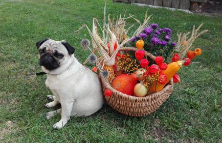 Dom w spokojnej okolicy - Foto 19