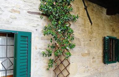 Ville Betulla e Gelsomino - Photo 7