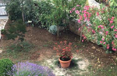 Apartmani Misic - Foto 8