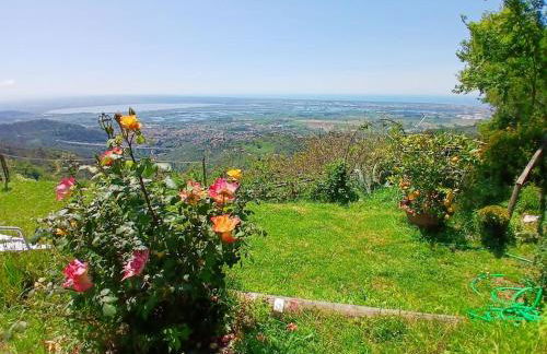 Casa panoramica sulle colline di Viareggio - Foto 26