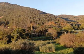 Il Pettirosso - Foto 17