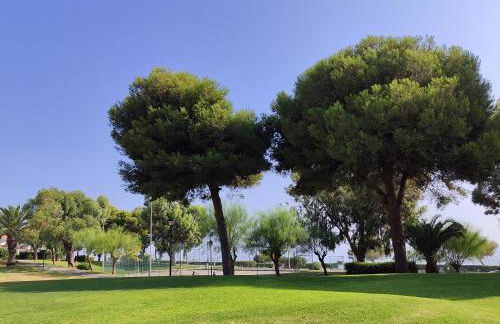 Gran Vista - Photo 23