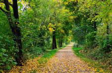 Piece of Greece - Foto 44