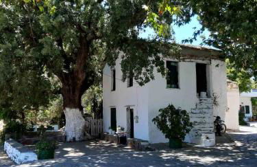 Traditional house in Akamatra square - Photo 35