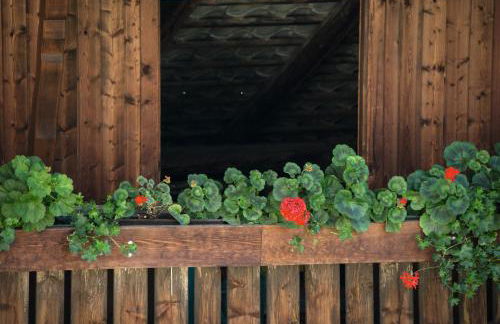 Appartements Bergheim St Andrä bei Brixen - Foto 65