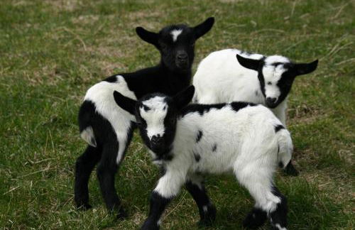 Tomasoethof - Foto 14