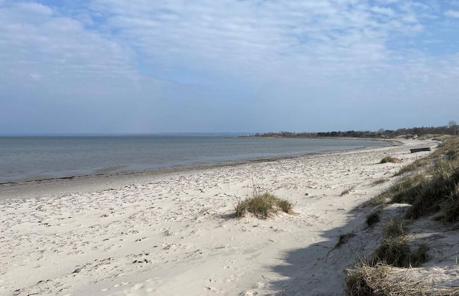 4 Star Holiday Home in Farhult - Photo 17