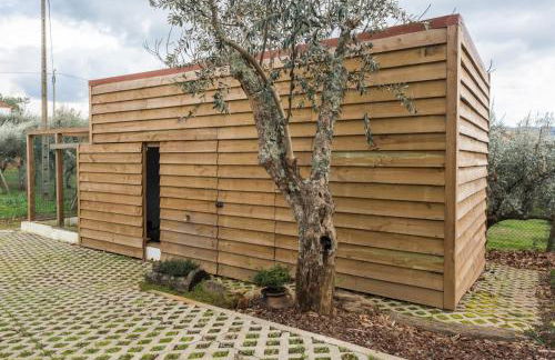 Casa De Santo Antão - Turismo Rural - Foto 21