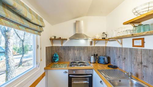 Fern Lodge 11 with Hot Tub - Foto 5, stove, pet friendly, toaster