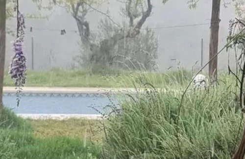 Finca La Boheme Monda - Foto 17