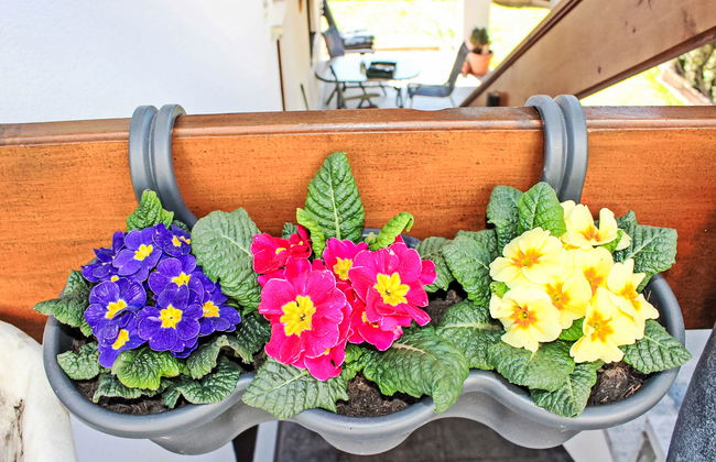 Haus Sailer - Foto 34