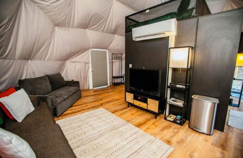 Zen Zion Evergreen Dome - Photo 9