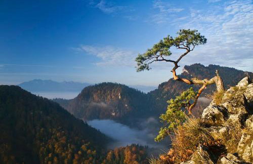 Caloroczne Domki w Gorach"ALEKSANDER" - Foto 42