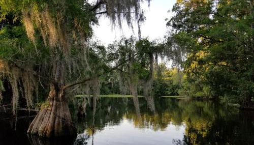 Wise Owl Retreat on the River - Foto 4