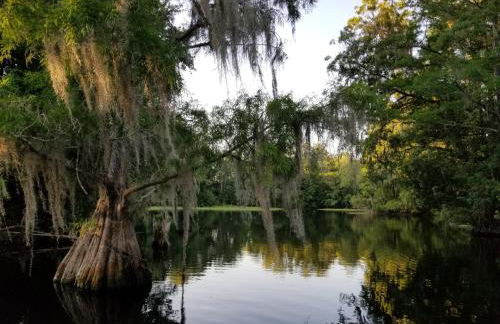 Wise Owl Retreat on the River - Foto 4