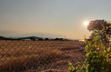 Seaview Saravari Studios - Foto 11