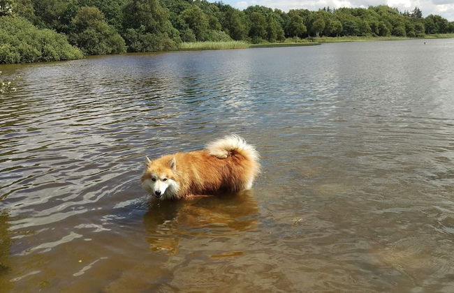 Rustic Holiday Home in Ansager near Water - Foto 32