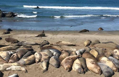 Pacific Coast Hwy Bunkhouse in San Luis Obispo - Foto 42