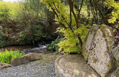 Cottage hideaway on the edge of Bodmin Moor - Foto 18