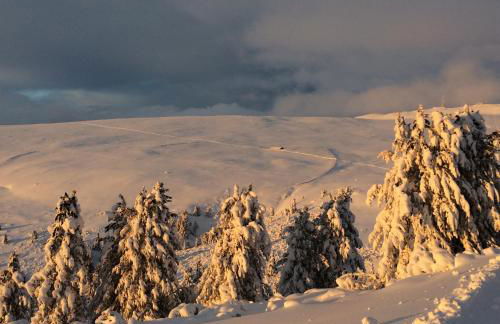 Laerchhof - Photo 48