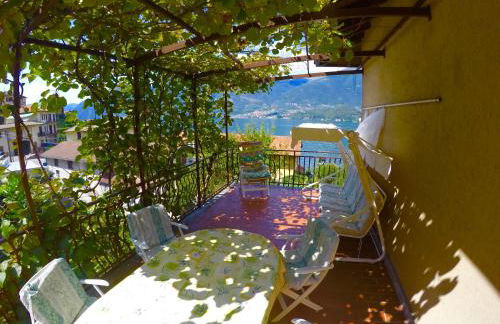 L'Agrifoglio - Foto 1