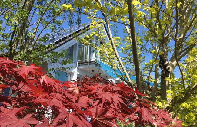 Ferienhaus "marianne" in Breege - Photo 19