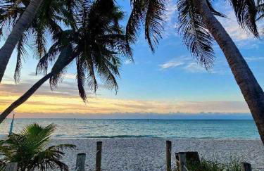 Paradise Found Cayo Hueso - Foto 63