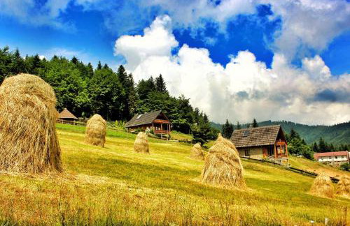 Domek u Johnnego - Foto 29