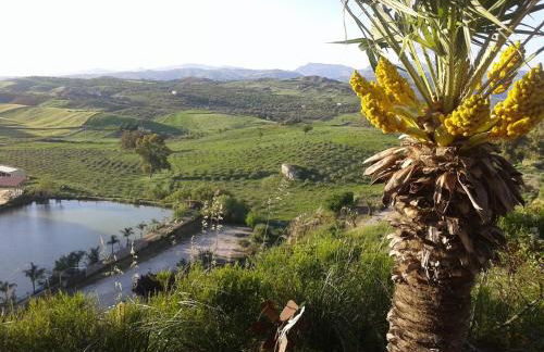 Ciuci's Manor - Foto 54