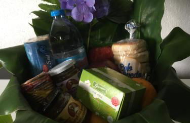 Casa da Cascata - Photo 13