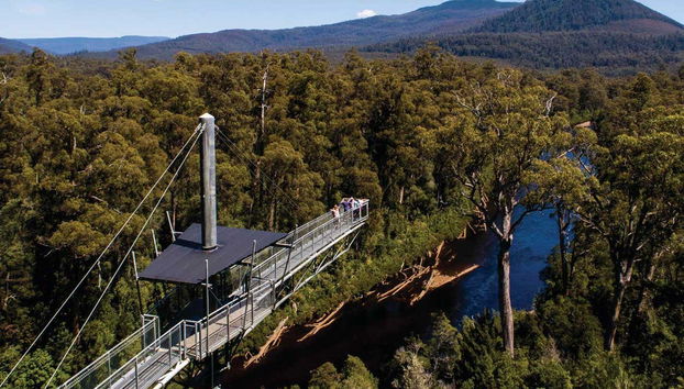 Excursion dans la vallée de Huon et aux grottes d'Hastings - Photo 3