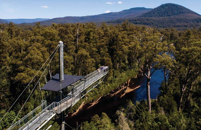Excursion dans la vallée de Huon et aux grottes d'Hastings - Photo 3