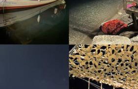 Ideal Cottage Holidays-Ιδανικές Εξοχικές Διακοπές - Foto 33