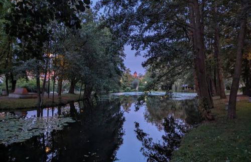 Welcome in Weilerbach - Foto 15