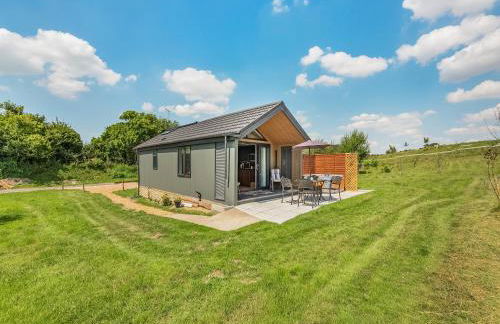 Cranbourne Chase Stargazer - Ukc6914 - Photo 10