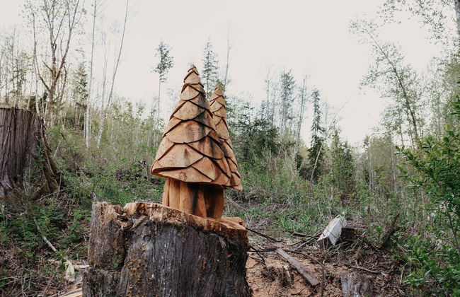 58mf - Wi-fi - Pets OK - EVC - Amazing Views - Foto 35