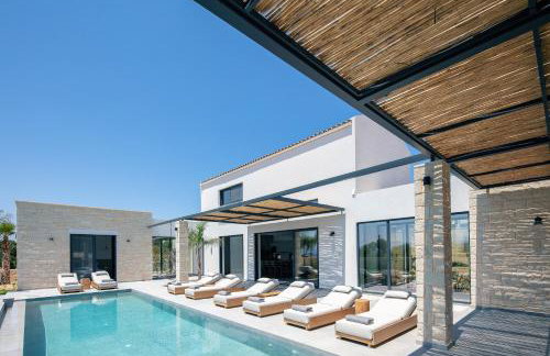 Ikritis Villas - Foto 50