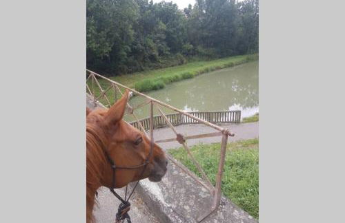 Villa Monplaisir 82 - Foto 25