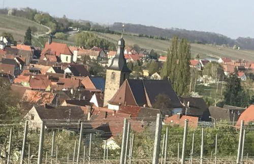 Holiday apartment Südpfalz Quartier 42 - DRIWWE - Foto 17