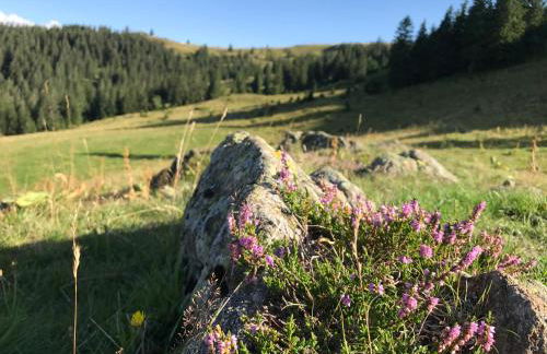 Ferienhaus Robin - Foto 55