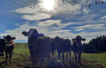 Ferienwohnung Bergblick - Foto 21