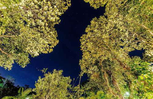 Casa dos Pássaros na areia a 20m da Praia da Baleia com 3 suítes e 1 dorm com ar condicionado, wifi, smart tv, cozinha completa e churrasqueira - Foto 58