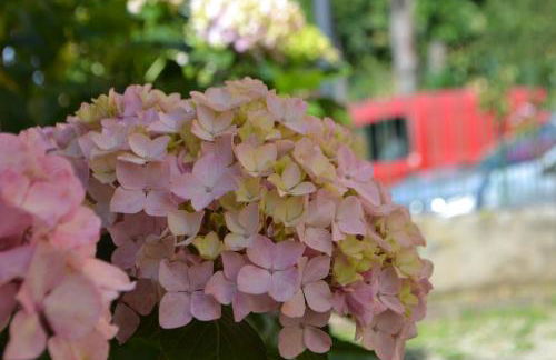 La Limonaia - Foto 33