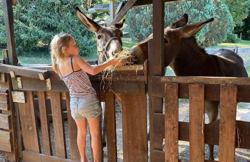 Le bon chemin Studio Stockholm - Foto 22