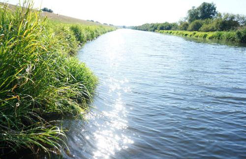 FeWo Elbdeichliebe - Photo 30