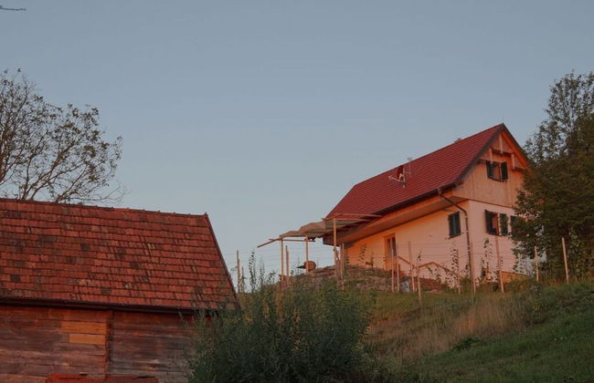 Kellerstockl am Hamerlberg/strem - Foto 32