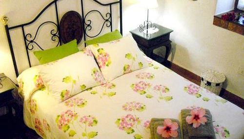 Cozy house with pool in San Cristóbal de La Laguna, 70 m² - Foto 4