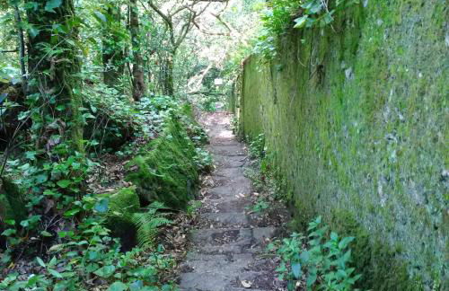 Páteo Badajoz - Foto 33