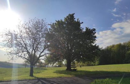 Ferienwohnung Kirchberg Uettingen - Foto 18